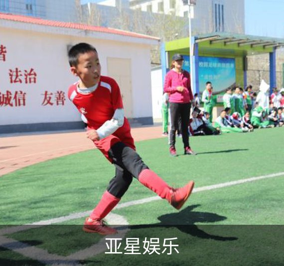 企业简介
